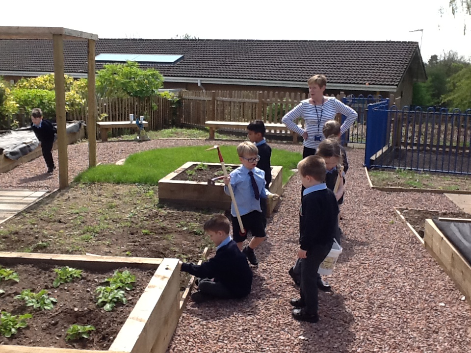 How Does Our Garden Grow?