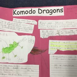 Non-chronological report Year 1