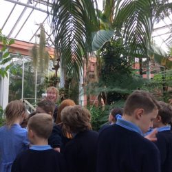 ‘Impeccable behaviour’ at the Botanical Gardens Year 4