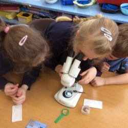 Exploring Microscopes