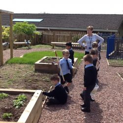 How Does Our Garden Grow?
