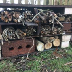 Bug Hotel Now Taking Reservations