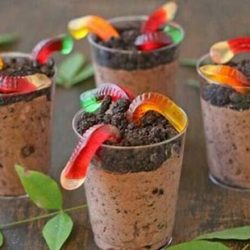 Edible mud pies with Superworm!